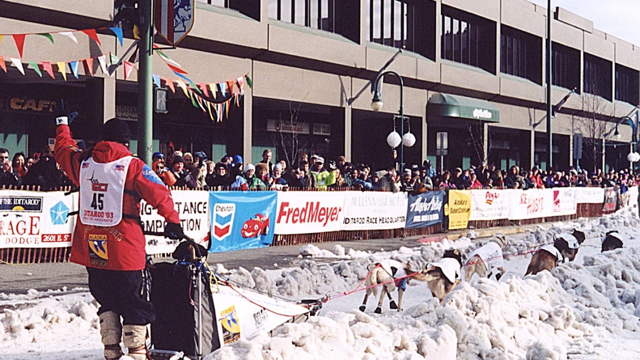 2003_Iditarod_start_in_Anchorage_-_Aliy_Zirkle