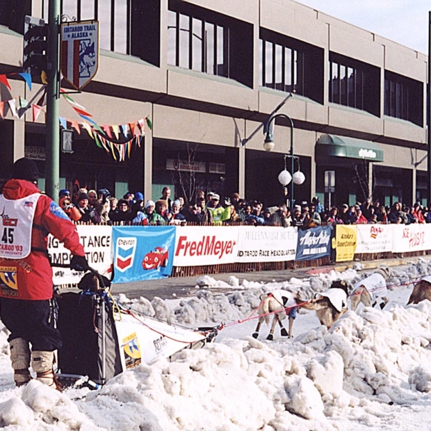 2003_Iditarod_start_in_Anchorage_-_Aliy_Zirkle
